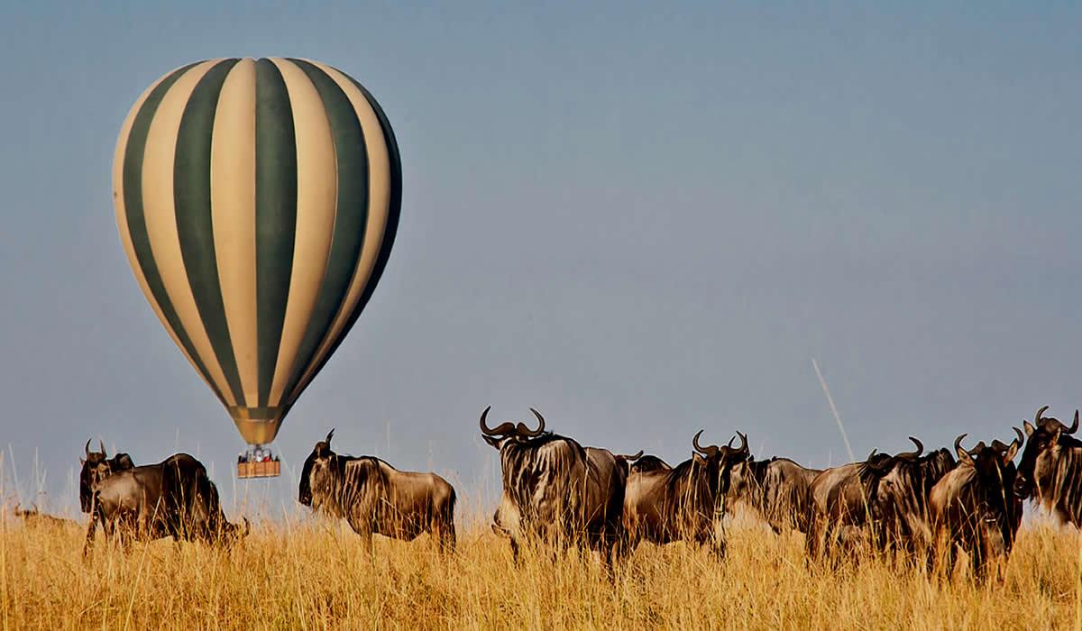 8-Day Tanzania Adventure Safari & Luxury Lodge Package